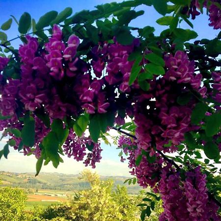 B&B Acacia Rosa Guarene Exteriér fotografie