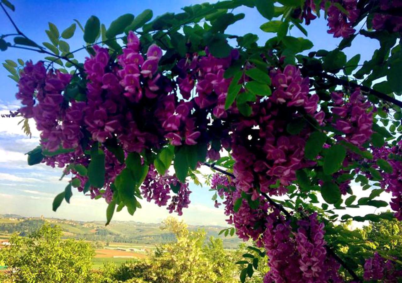 B&B Acacia Rosa Guarene Exteriér fotografie